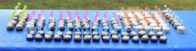 Periodic Table of Cupcakes . . . from the birthday celebration of a young homeschooler whose passion is chemistry